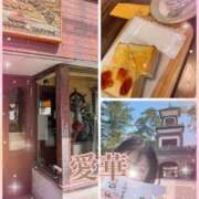 ヒメ日記 2025/04/14 13:16 投稿 東 愛華 五十路マダム金沢店