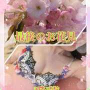 ヒメ日記 2025/04/14 18:20 投稿 東 愛華 五十路マダム金沢店