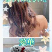 ヒメ日記 2025/04/14 23:16 投稿 東 愛華 五十路マダム金沢店
