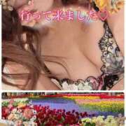 ヒメ日記 2025/04/26 21:26 投稿 東 愛華 五十路マダム金沢店