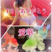 ヒメ日記 2025/05/12 15:16 投稿 東 愛華 五十路マダム金沢店