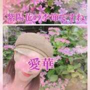 ヒメ日記 2025/06/10 18:16 投稿 東 愛華 五十路マダム金沢店