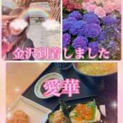 ヒメ日記 2025/06/12 11:18 投稿 東 愛華 五十路マダム金沢店