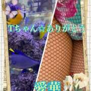 ヒメ日記 2025/06/12 18:16 投稿 東 愛華 五十路マダム金沢店