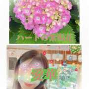 ヒメ日記 2025/06/14 10:16 投稿 東 愛華 五十路マダム金沢店