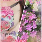 ヒメ日記 2025/06/14 15:16 投稿 東 愛華 五十路マダム金沢店