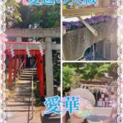 ヒメ日記 2025/06/28 12:24 投稿 東 愛華 五十路マダム金沢店