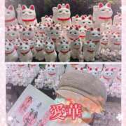 ヒメ日記 2025/07/03 18:16 投稿 東 愛華 五十路マダム金沢店