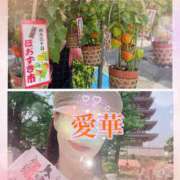 ヒメ日記 2025/07/09 18:16 投稿 東 愛華 五十路マダム金沢店