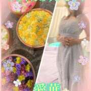 ヒメ日記 2025/07/18 17:18 投稿 東 愛華 五十路マダム金沢店