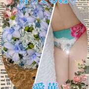 ヒメ日記 2025/07/20 12:20 投稿 東 愛華 五十路マダム金沢店