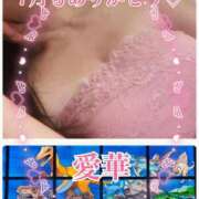 ヒメ日記 2025/07/31 12:18 投稿 東 愛華 五十路マダム金沢店