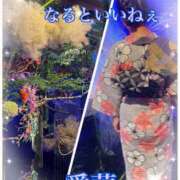 ヒメ日記 2025/08/29 21:16 投稿 東 愛華 五十路マダム金沢店