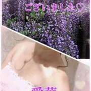 ヒメ日記 2025/08/31 21:16 投稿 東 愛華 五十路マダム金沢店