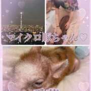 ヒメ日記 2025/09/09 12:18 投稿 東 愛華 五十路マダム金沢店