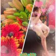 ヒメ日記 2025/09/13 15:16 投稿 東 愛華 五十路マダム金沢店