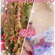 ヒメ日記 2025/10/11 12:24 投稿 東 愛華 五十路マダム金沢店