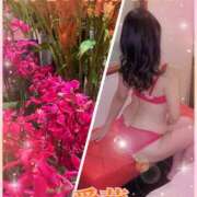 ヒメ日記 2025/10/26 14:06 投稿 東 愛華 五十路マダム金沢店