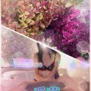 ヒメ日記 2025/11/13 17:50 投稿 東 愛華 五十路マダム金沢店