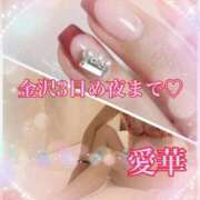 ヒメ日記 2025/11/15 12:20 投稿 東 愛華 五十路マダム金沢店