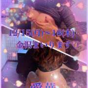 ヒメ日記 2025/11/29 16:30 投稿 東 愛華 五十路マダム金沢店