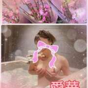 ヒメ日記 2026/03/14 11:26 投稿 東 愛華 五十路マダム金沢店