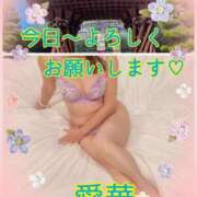 ヒメ日記 2026/03/19 10:26 投稿 東 愛華 五十路マダム金沢店