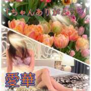 ヒメ日記 2026/03/20 23:24 投稿 東 愛華 五十路マダム金沢店