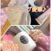 ヒメ日記 2026/03/21 09:24 投稿 東 愛華 五十路マダム金沢店