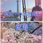 ヒメ日記 2026/03/30 10:30 投稿 東 愛華 五十路マダム金沢店