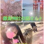 東 愛華 厳島神社の鹿さん♪ 五十路マダム金沢店