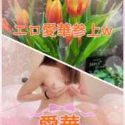 ヒメ日記 2026/04/24 10:26 投稿 東 愛華 五十路マダム金沢店