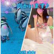 ヒメ日記 2026/04/26 10:18 投稿 東 愛華 五十路マダム金沢店