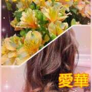 ヒメ日記 2026/04/26 19:44 投稿 東 愛華 五十路マダム金沢店