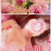 ヒメ日記 2026/05/30 12:36 投稿 東 愛華 五十路マダム金沢店