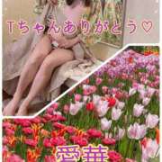 ヒメ日記 2026/05/31 20:26 投稿 東 愛華 五十路マダム金沢店