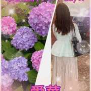 ヒメ日記 2026/06/02 09:16 投稿 東 愛華 五十路マダム金沢店