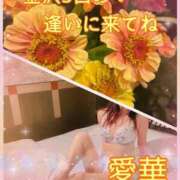 ヒメ日記 2026/06/27 10:16 投稿 東 愛華 五十路マダム金沢店