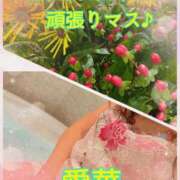 ヒメ日記 2026/08/26 09:24 投稿 東 愛華 五十路マダム金沢店