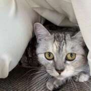 ヒメ日記 2025/12/07 15:57 投稿 まみ ビデオdeはんど 熊本校