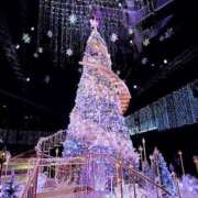 ヒメ日記 2025/12/17 15:07 投稿 まみ ビデオdeはんど 熊本校