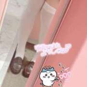 ヒメ日記 2026/04/22 19:00 投稿 まみ ビデオdeはんど熊本校（アクセスグループ）