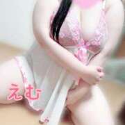 ヒメ日記 2025/04/03 18:16 投稿 えむ 埼玉熊谷ちゃんこ