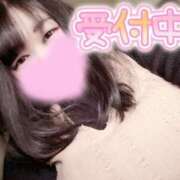 ヒメ日記 2025/04/13 15:16 投稿 えむ 埼玉熊谷ちゃんこ