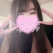 ヒメ日記 2025/04/14 14:56 投稿 えむ 埼玉熊谷ちゃんこ