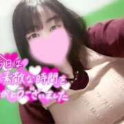 ヒメ日記 2025/04/15 00:46 投稿 えむ 埼玉熊谷ちゃんこ