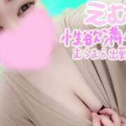 ヒメ日記 2025/04/24 12:16 投稿 えむ 埼玉熊谷ちゃんこ