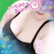 ヒメ日記 2025/04/25 23:26 投稿 えむ 埼玉熊谷ちゃんこ