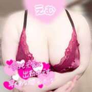 ヒメ日記 2025/04/27 12:07 投稿 えむ 埼玉熊谷ちゃんこ