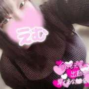 ヒメ日記 2025/06/10 12:06 投稿 えむ 埼玉熊谷ちゃんこ